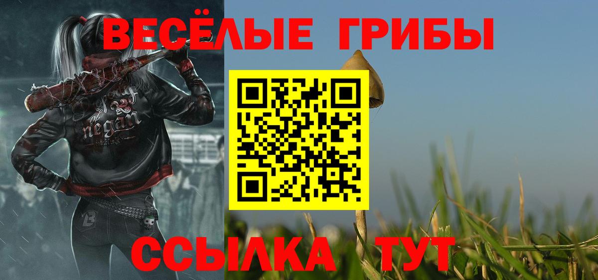 Псилоцибиновые грибы Psilocybine cubensis Гатчина